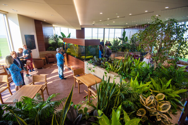 Image Courtesy of University of Mary